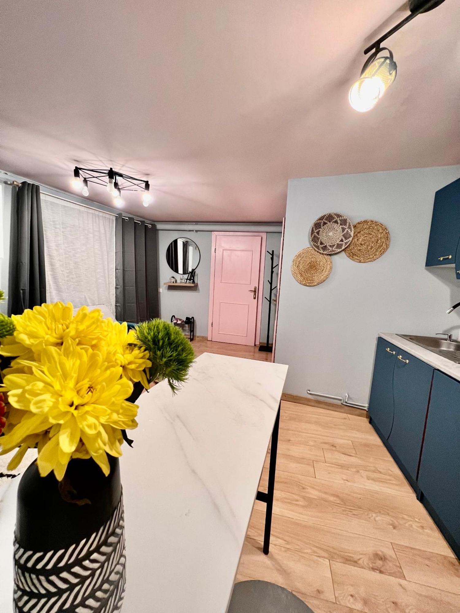 Old Town City Center Apartments Braşov Eksteriør billede